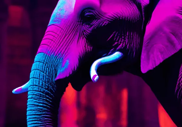 How to set up a PostgreSQL cluster using pg_cirrus on AWS