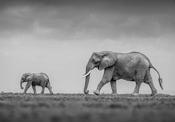A-Follow-up-on-Key-PostgreSQL-Configuration-Parameters-for-Enhanced-Performance-Part-2-scaled