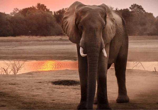 Blog-Key-PostgreSQL-Configuration-Parameters-for-Enhanced-Performance