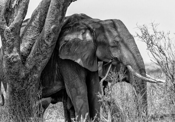 Enhancing-PostgreSQL-Performance-Monitoring-A-Comprehensive-Guide-to-pg_stat_statements-scaled